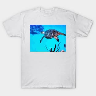 Bimini Scuba Diving Turtle T-Shirt